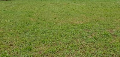 Terrain seul à Vairé en Vendée (85) de 520 m² à vendre au prix de 140000€