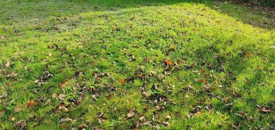 Terrain seul à La Haie-Fouassière en Loire-Atlantique (44) de 320 m² à vendre au prix de 135000€