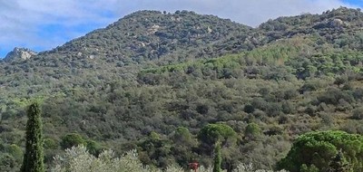 Terrain seul à Sorède en Pyrénées-Orientales (66) de 447 m² à vendre au prix de 195000€