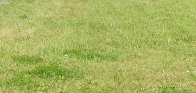 Terrain seul à Sadirac en Gironde (33) de 1500 m² à vendre au prix de 145000€
