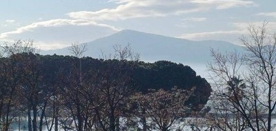 Terrain seul à Villeneuve-de-la-Raho en Pyrénées-Orientales (66) de 800 m² à vendre au prix de 304000€