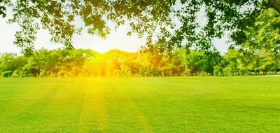 Terrain seul à Chouilly en Marne (51) de 800 m² à vendre au prix de 120000€