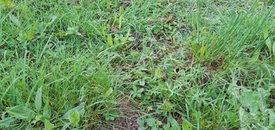 Terrain seul à Chaumes-en-Retz en Loire-Atlantique (44) de 595 m² à vendre au prix de 60990€