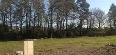 Terrain seul à Pissos en Landes (40) de 571 m² à vendre au prix de 83000€