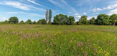 Terrain seul à Cheillé en Indre-et-Loire (37) de 544 m² à vendre au prix de 70000€