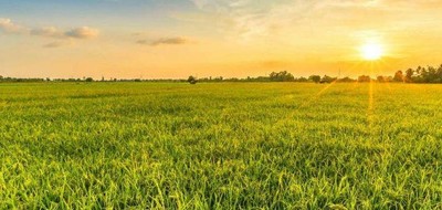 Terrain seul à Vairé en Vendée (85) de 520 m² à vendre au prix de 138000€