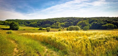 Terrain seul à Chalmoux en Saône-et-Loire (71) de 750 m² à vendre au prix de 7500€