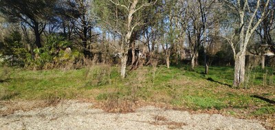 Terrain seul à Noaillan en Gironde (33) de 850 m² à vendre au prix de 60000€