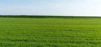 Terrain seul à Langeais en Indre-et-Loire (37) de 647 m² à vendre au prix de 72000€