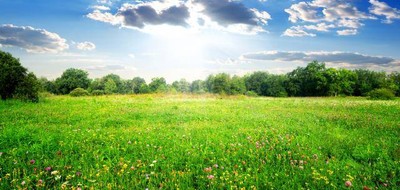 Terrain seul à La Croix-en-Touraine en Indre-et-Loire (37) de 500 m² à vendre au prix de 53000€