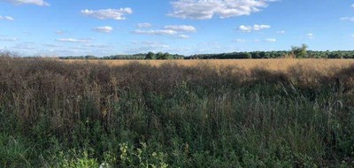 Terrain seul à Notre-Dame-d'Oé en Indre-et-Loire (37) de 725 m² à vendre au prix de 165000€
