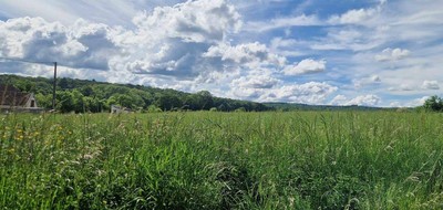 Terrain seul à Filain en Haute-Saône (70) de 1000 m² à vendre au prix de 35000€