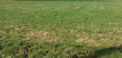 Terrain seul à Sarceaux en Orne (61) de 500 m² à vendre au prix de 35000€