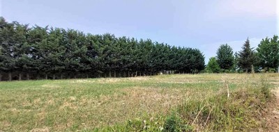 Terrain seul à Neuville-sur-Brenne en Indre-et-Loire (37) de 1210 m² à vendre au prix de 59000€