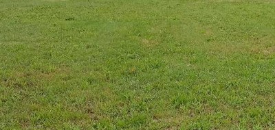 Terrain seul à Vairé en Vendée (85) de 519 m² à vendre au prix de 138000€
