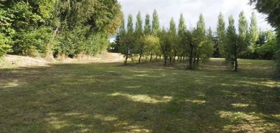 Terrain seul à La Garnache en Vendée (85) de 898 m² à vendre au prix de 65000€