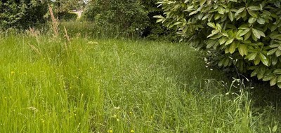 Terrain seul à La Brède en Gironde (33) de 1271 m² à vendre au prix de 246000€