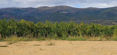 Terrain seul à Los Masos en Pyrénées-Orientales (66) de 287 m² à vendre au prix de 59000€