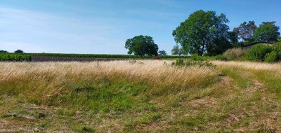 Terrain seul à Segonzac en Charente (16) de 730 m² à vendre au prix de 38900€