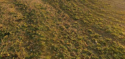 Terrain seul à La Haie-Fouassière en Loire-Atlantique (44) de 320 m² à vendre au prix de 134998€