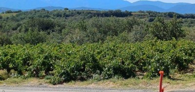 Terrain seul à Tresserre en Pyrénées-Orientales (66) de 401 m² à vendre au prix de 138900€