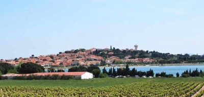 Terrain seul à Villeneuve-de-la-Raho en Pyrénées-Orientales (66) de 1000 m² à vendre au prix de 415000€