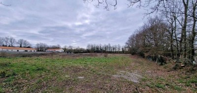 Terrain seul à Mur-de-Sologne en Loir-et-Cher (41) de 1000 m² à vendre au prix de 32000€