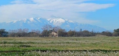 Terrain seul à Villeneuve-de-la-Raho en Pyrénées-Orientales (66) de 440 m² à vendre au prix de 190000€