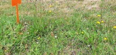 Terrain seul à Vairé en Vendée (85) de 539 m² à vendre au prix de 139000€