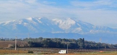 Terrain seul à Villeneuve-de-la-Raho en Pyrénées-Orientales (66) de 610 m² à vendre au prix de 252000€