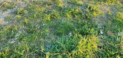 Terrain seul à La Plaine-sur-Mer en Loire-Atlantique (44) de 500 m² à vendre au prix de 167100€