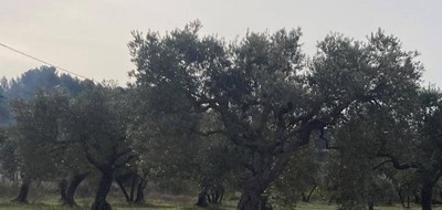 Terrain seul à Tavernes en Var (83) de 1000 m² à vendre au prix de 135000€