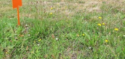 Terrain seul à Machecoul-Saint-Même en Loire-Atlantique (44) de 422 m² à vendre au prix de 65000€
