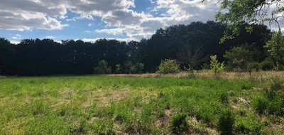 Terrain seul à Montrieux-en-Sologne en Loir-et-Cher (41) de 1500 m² à vendre au prix de 37000€