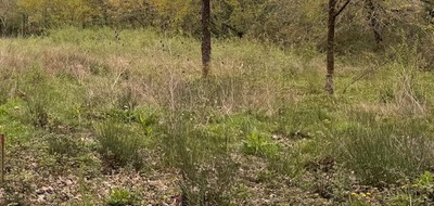 Terrain seul à La Brède en Gironde (33) de 1200 m² à vendre au prix de 249000€