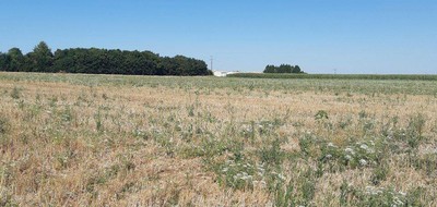 Terrain seul à Villedoux en Charente-Maritime (17) de 308 m² à vendre au prix de 97000€