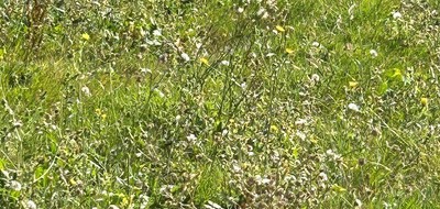 Terrain seul à La Plaine-sur-Mer en Loire-Atlantique (44) de 500 m² à vendre au prix de 167100€