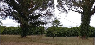 Terrain seul à Saint-Maixant en Gironde (33) de 700 m² à vendre au prix de 53200€