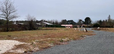 Terrain seul à Belin-Béliet en Gironde (33) de 348 m² à vendre au prix de 99000€