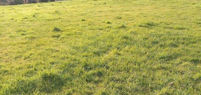 Terrain seul à La Plaine-sur-Mer en Loire-Atlantique (44) de 1288 m² à vendre au prix de 189580€