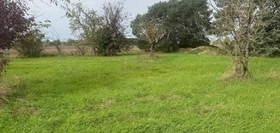 Terrain seul à Athée-sur-Cher en Indre-et-Loire (37) de 980 m² à vendre au prix de 72000€