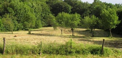 Terrain seul à Thivet en Haute-Marne (52) de 3620 m² à vendre au prix de 40000€