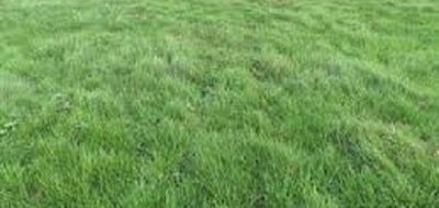 Terrain seul à Saint-Pierre-lès-Nemours en Seine-et-Marne (77) de 699 m² à vendre au prix de 99000€