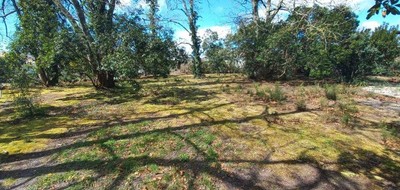 Terrain seul à Andernos-les-Bains en Gironde (33) de 550 m² à vendre au prix de 240000€