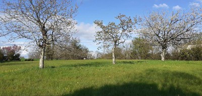 Terrain seul à Ribérac en Dordogne (24) de 1500 m² à vendre au prix de 16000€