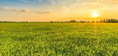 Terrain seul à Vairé en Vendée (85) de 521 m² à vendre au prix de 138000€