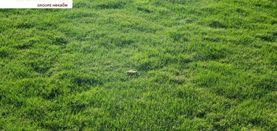 Terrain seul à Vairé en Vendée (85) de 600 m² à vendre au prix de 118000€