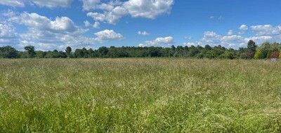 Terrain seul à Bazas en Gironde (33) de 1605 m² à vendre au prix de 67000€