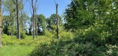 Terrain seul à Saint-Léon en Lot-et-Garonne (47) de 1400 m² à vendre au prix de 30000€
