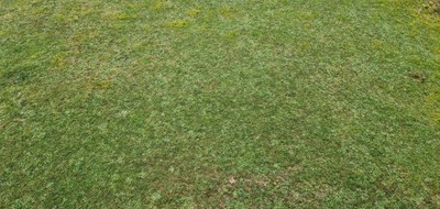 Terrain seul à Tourville-les-Ifs en Seine-Maritime (76) de 800 m² à vendre au prix de 59000€